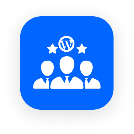 12+ years of wordpress expertise in WordPress in website service page