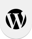 frame_1000003490 web development main page in word press development icon